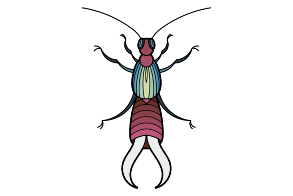 Earwig Icon. Pest Insect. Wild Decorativ: A Practical Guide for Effective Use