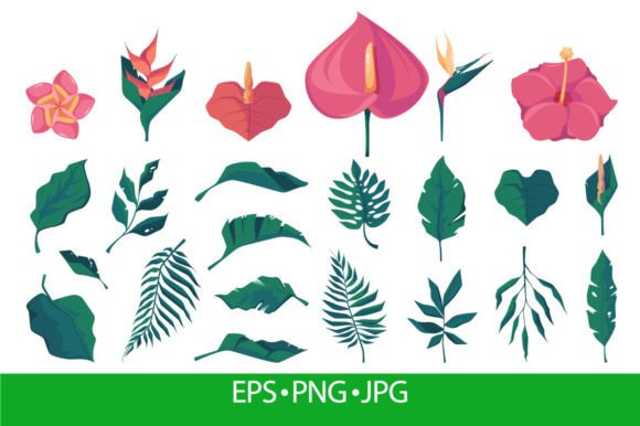 Exotic Leaves and Flowers: Elevating Spaces with Tropical Elegance