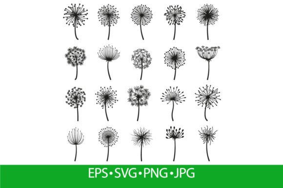 Fluffy Dandelion and Blowball Flowers: A Versatile Design Element for Modern Creativity
