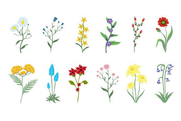 Hand Drawn Spring Flowers Collection: A Timeless Addition to Your Design Projects