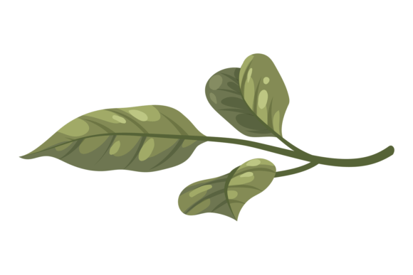 The Role of the Green Branch in Floral Composition: A Decorative Element for Modern Design